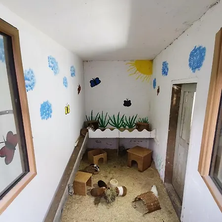 Ferienwohnung Hartl Hof Breitenberg  Exterior foto