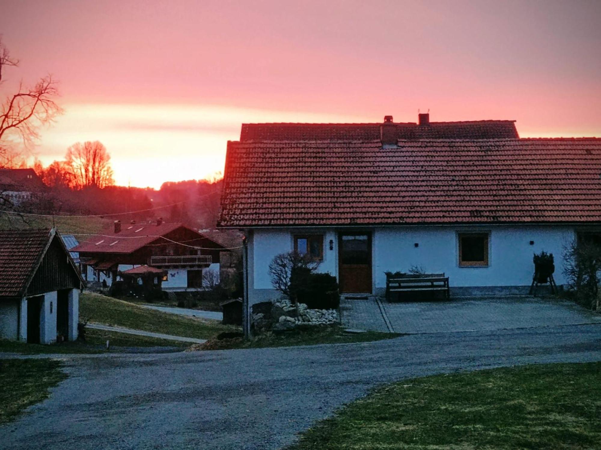 Hartl Hof Apartment
